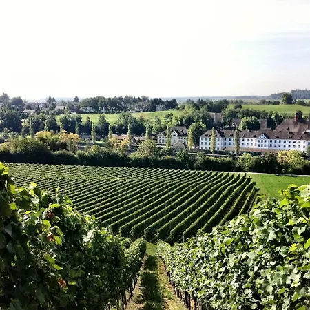 Am Rhein
