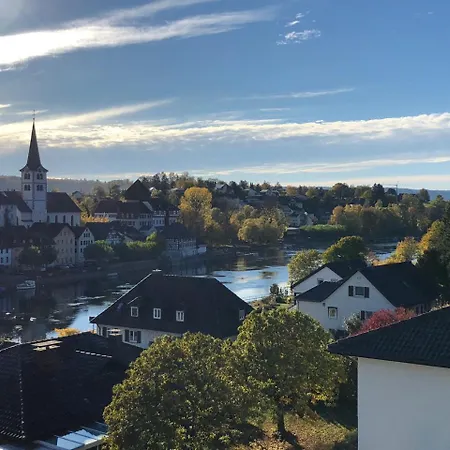 アパート Am Rhein ガイリンゲン